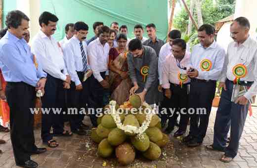 Jackfruit 